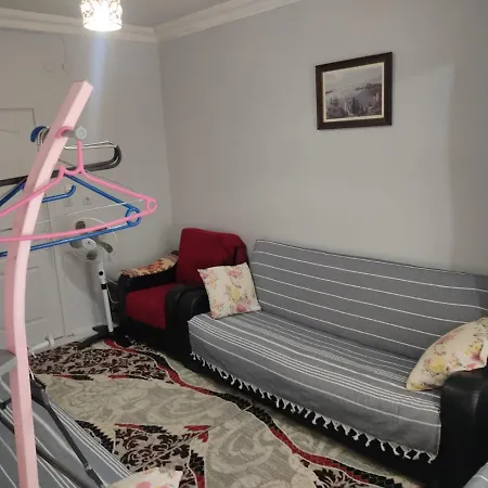 Cute Daily Weekly - Be My Guest Apartment