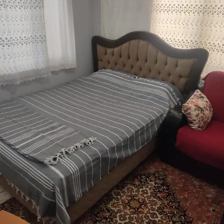 Cute Daily Weekly - Be My Guest Apartment
